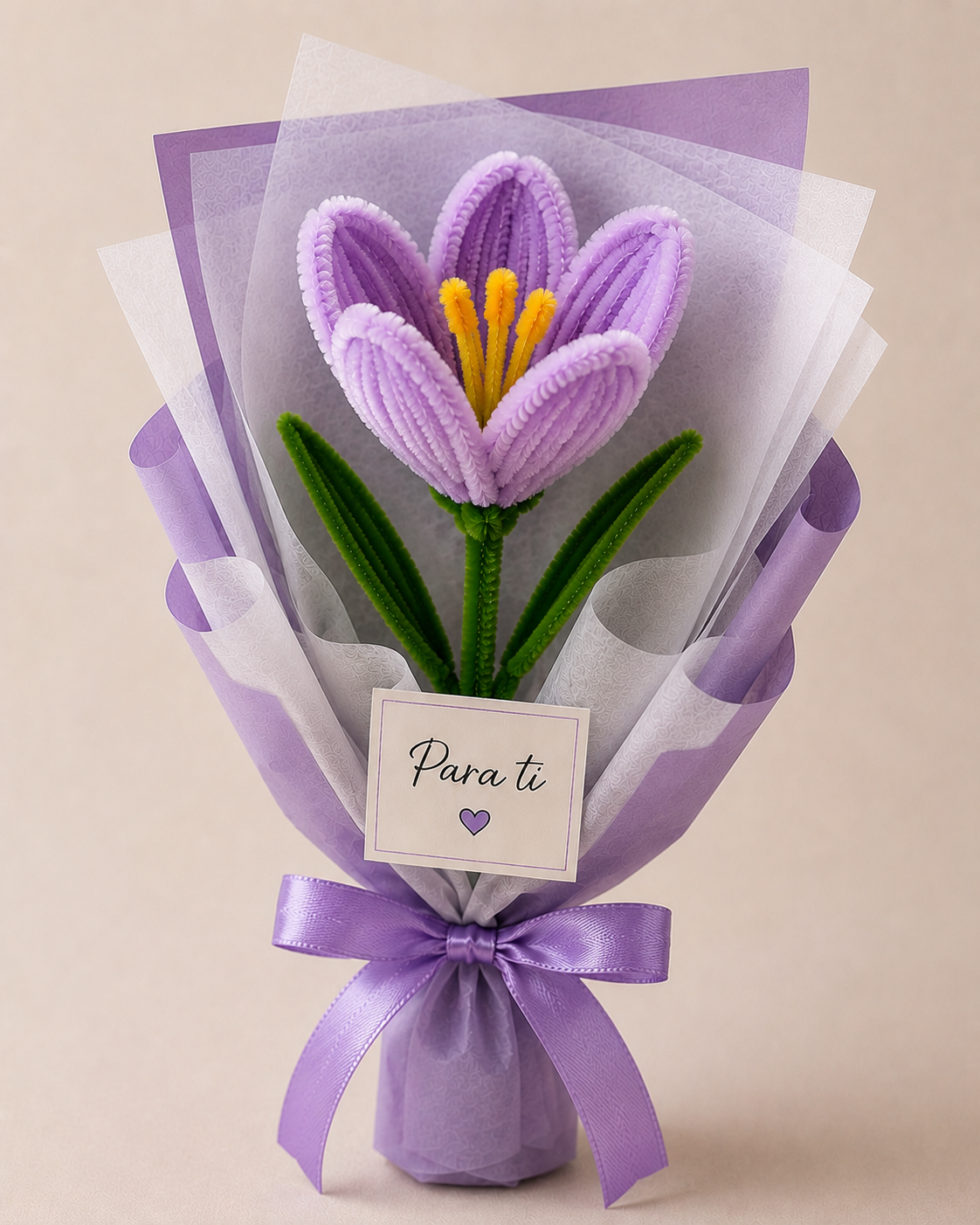 Tulipan